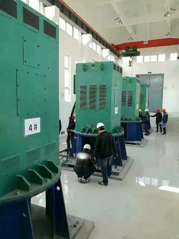 鹤壁某污水处理厂使用我厂的立式高压电机安装现场